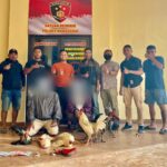 Polisi Gerebek Lokasi Sabung Ayam di Manggarai