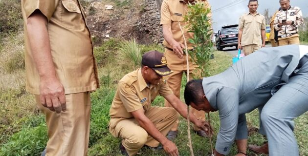 Bukan Cuman Natas Labar, Ratusan Bunga Pucuk Merah Siap Hiasi Pintu Masuk Kota Ruteng