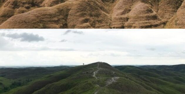 Bukit Wairinding: Pesona Sabana Dua Musim yang Memukau di Sumba