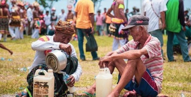 Sopi Menjadi Salah Satu Minuman Autentik Pulau Flores ?  Yuk Simak Beberapa Kuliner Khas Flores yang Wajib Dicoba