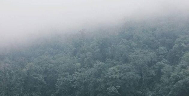 Menikmati Keindahan Alam Danau Hijau Dikelilingi Kabut, Rana Mese Manggarai Timur