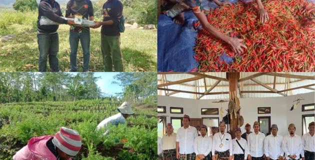 Ungkap Kedekatan PLN dengan Masyarakat Sekitar Kawasan Pengembangan PLTP Ulumbu 5-6 di Poco Leok, Tokoh Adat: PLN itu Sudah Seperti Anak Kami