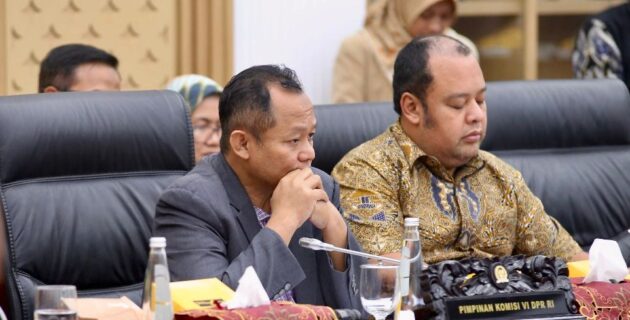 Komisi VI DPR Setujui PLN Dapat PMN Rp3 Triliun untuk Listrik Daerah Terpencil