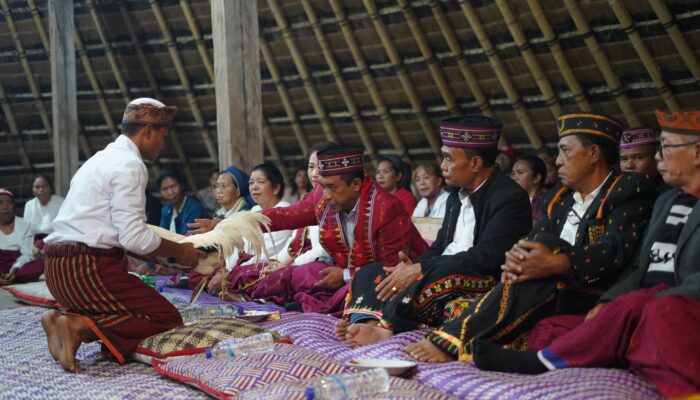 Kembali Bertarung di Pilkada Manggarai 2024, Hery Nabit Gelar Upacara Adat ‘Selek’ di Rumah Adat Pongkor